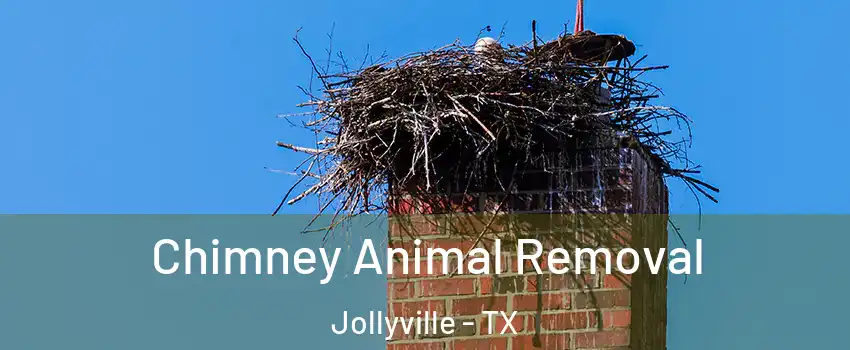  Chimney Animal Removal Jollyville - TX