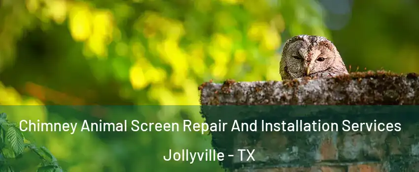 Chimney Animal Screen Repair And Installation Services Jollyville - TX