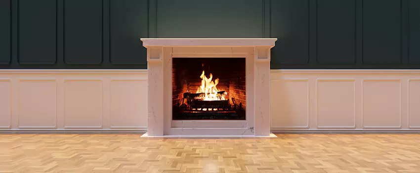 Napoleon Electric Fireplaces Inspection Service in Jollyville, Texas