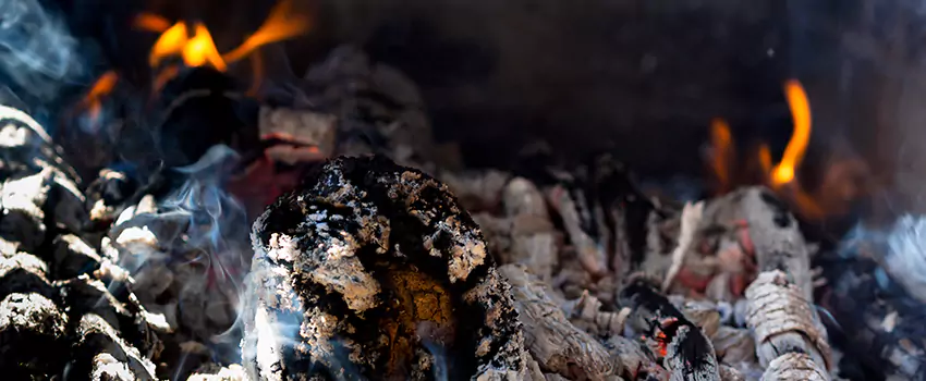 Creosote Removal Experts in Jollyville, TX